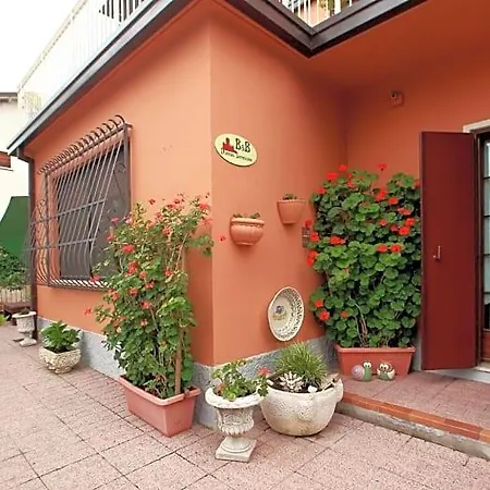 فندق مبيت وإفطار Domus 3*